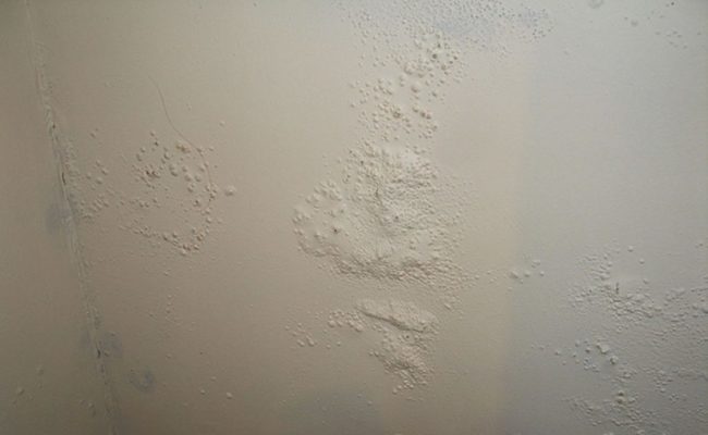 umidita 1 pittura pareti umidità