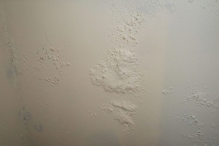 pittura pareti umidità